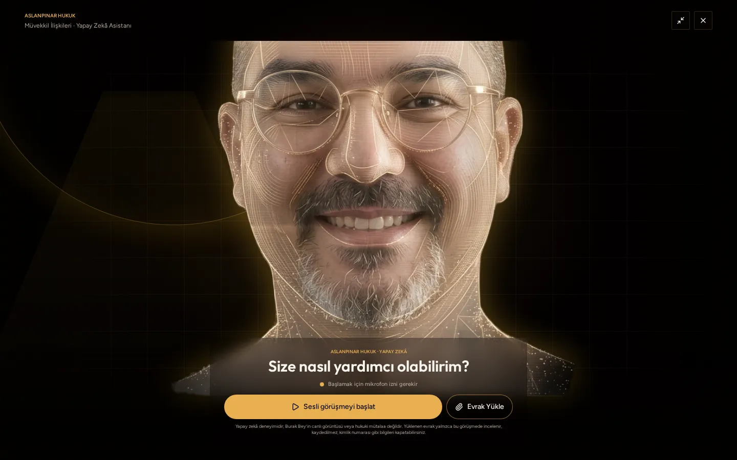 Aslanpınar Hukuk homepage